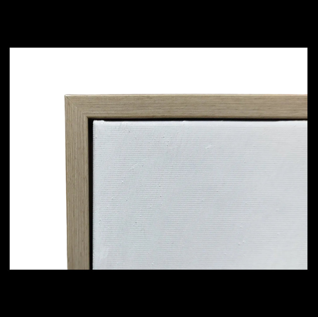Framed Art - Wind Blown Feather