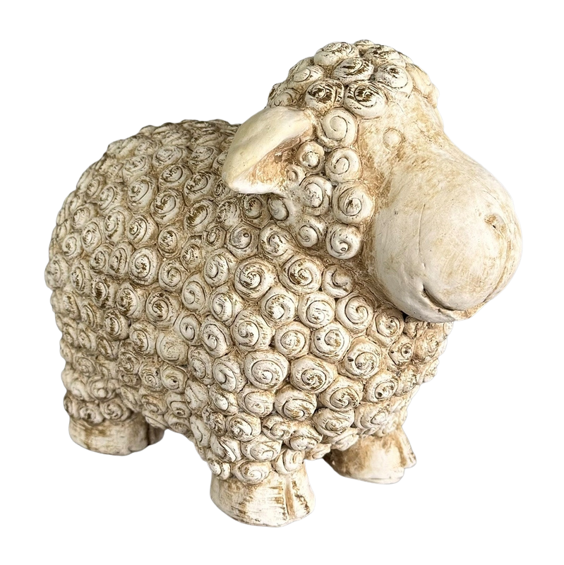 Standing Sheep