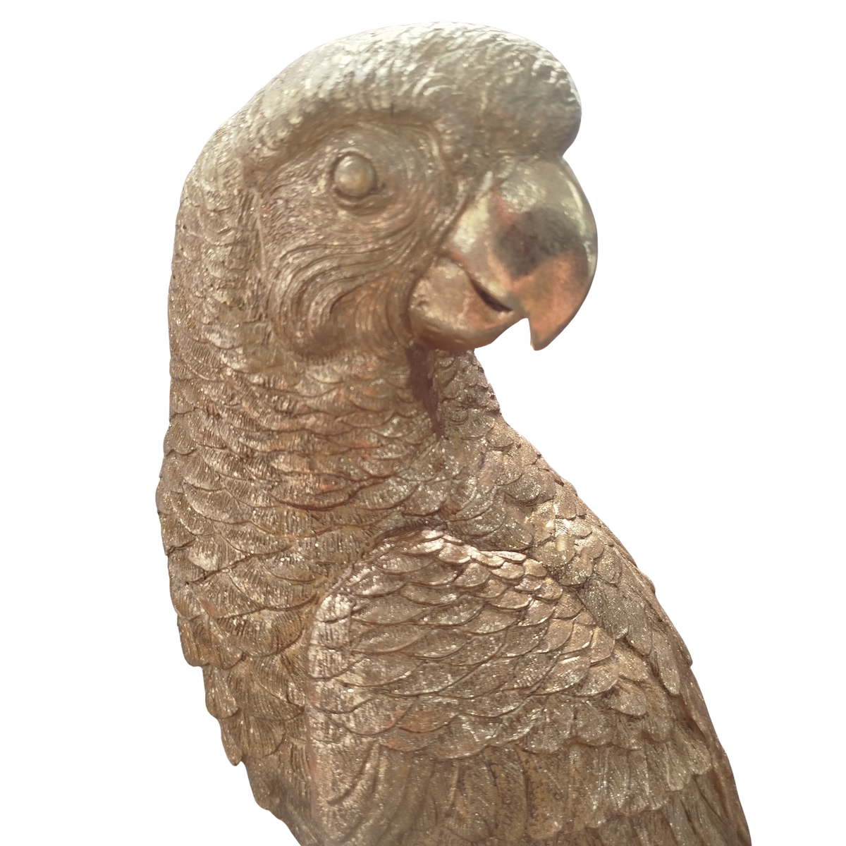 Golden Parrot