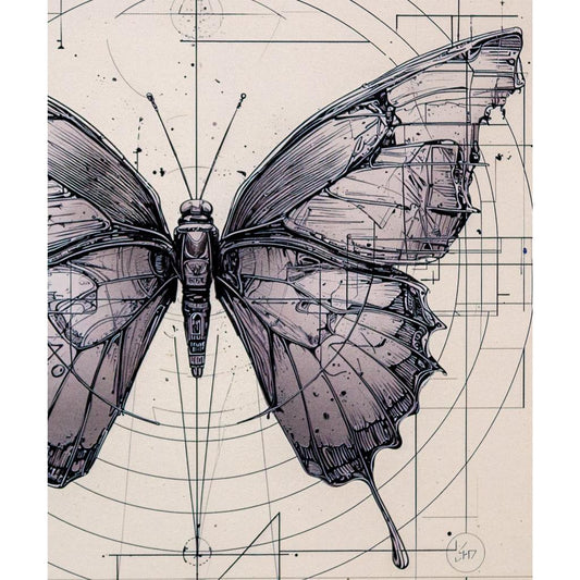 Framed Wall Art - Butterfly 80cm x 80cm