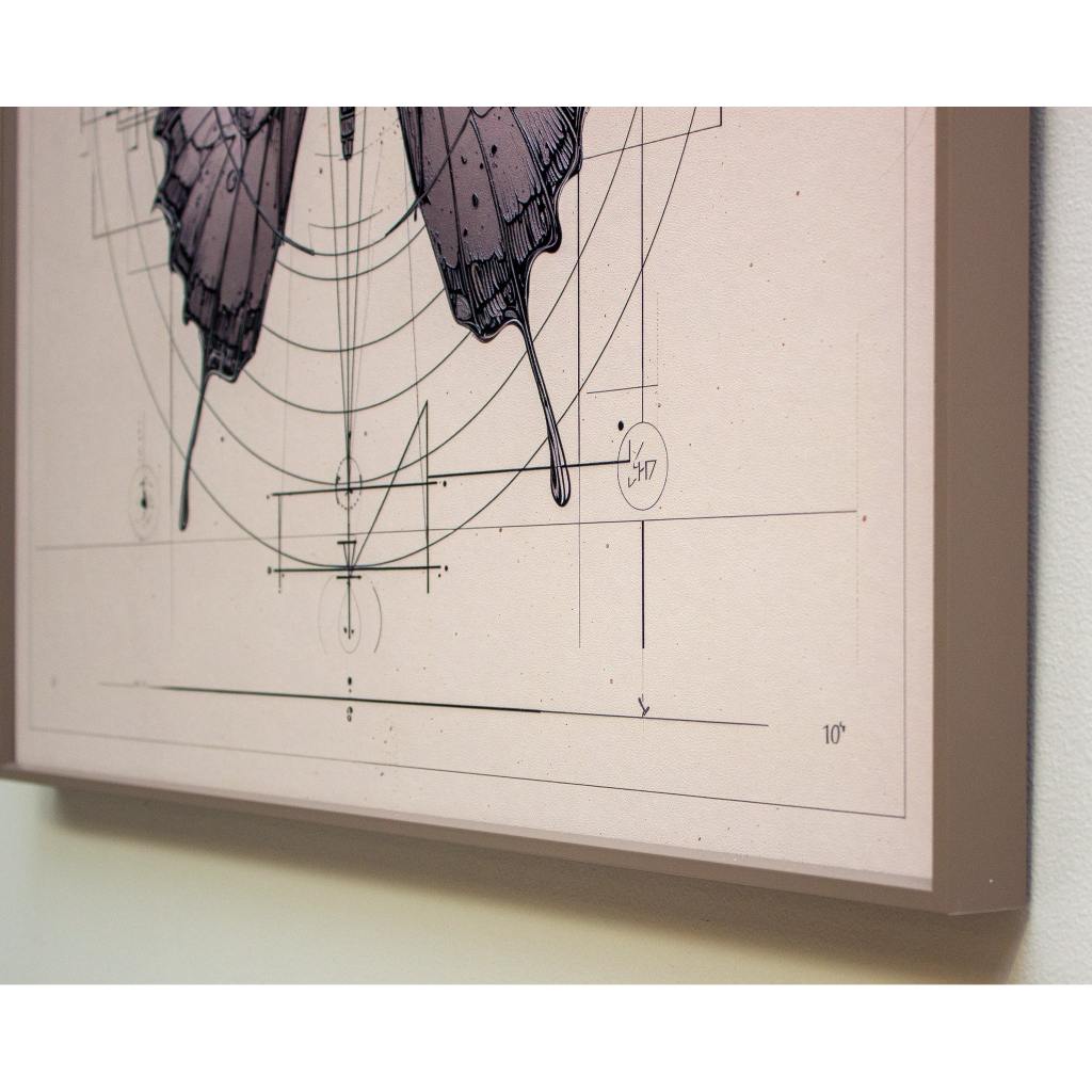 Framed Wall Art - Butterfly 80cm x 80cm