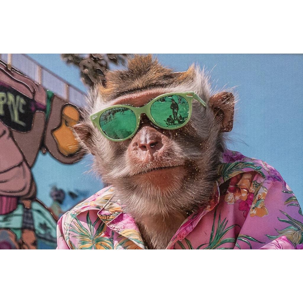 Framed Wall Art - The Hawaiian Chimp 60cm x 80cm