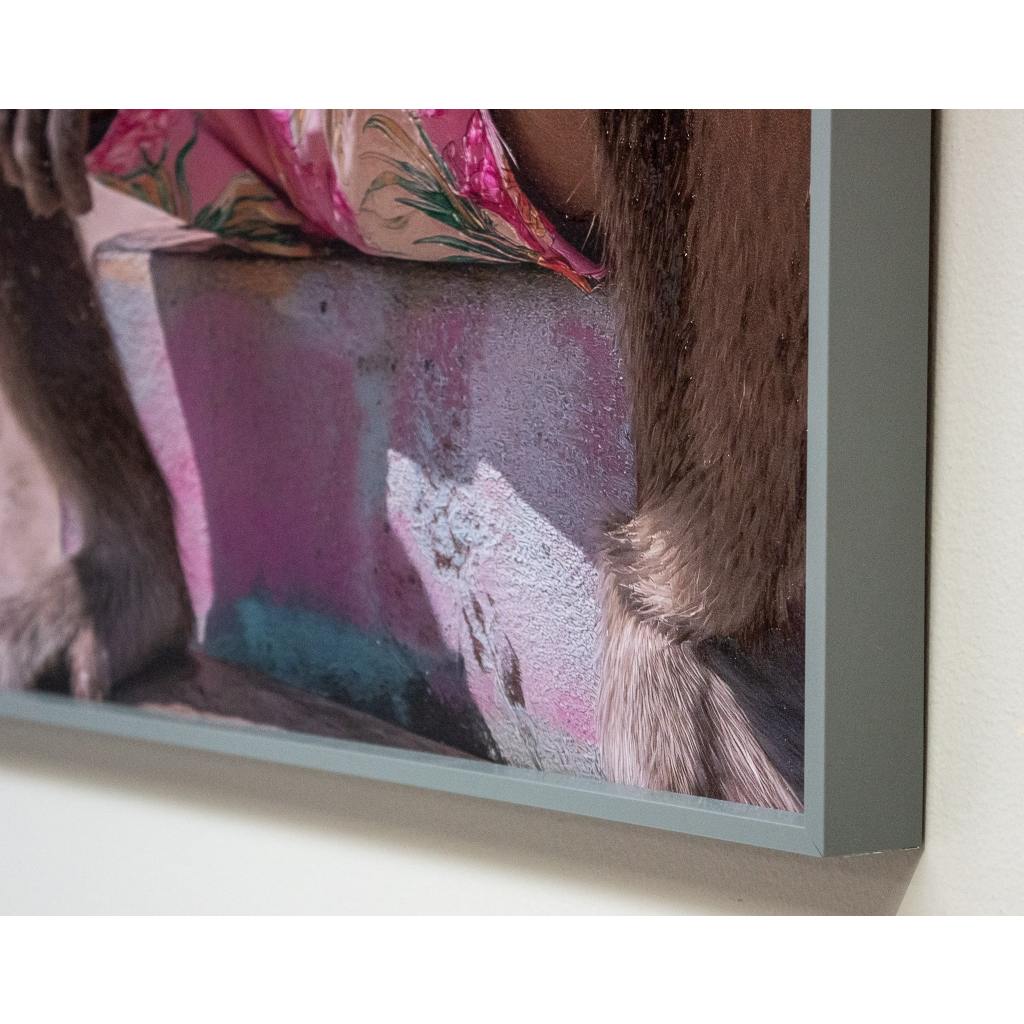 Framed Wall Art - The Hawaiian Chimp 60cm x 80cm