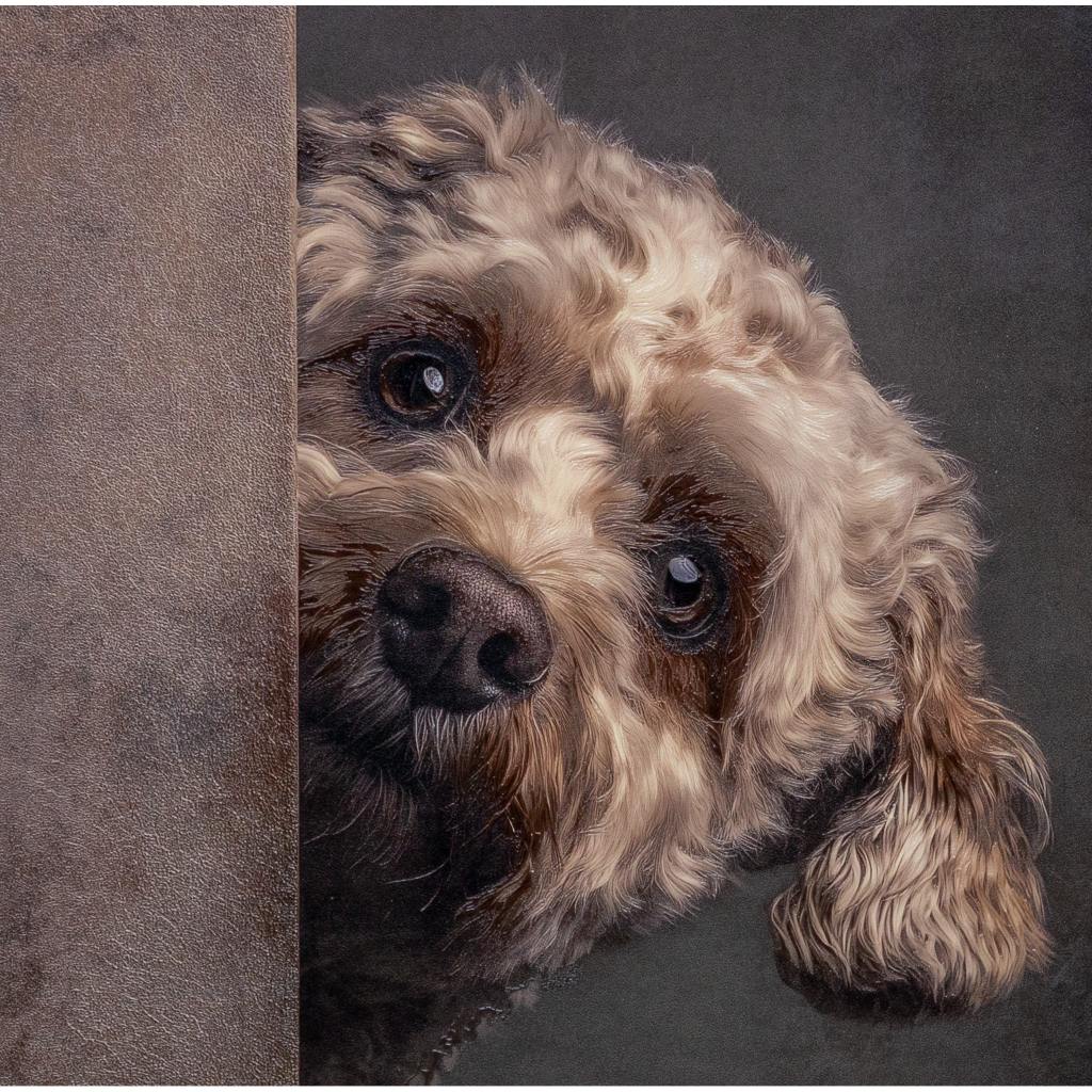 Framed Wall Art - Dog Peek a Boo 80cm x 80cm