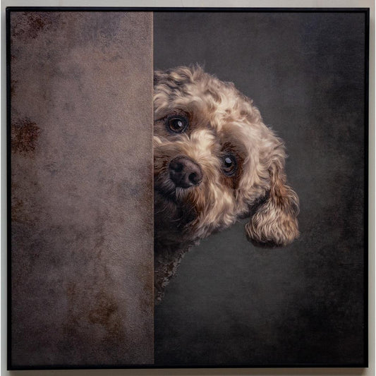 Framed Wall Art - Dog Peek a Boo 80cm x 80cm