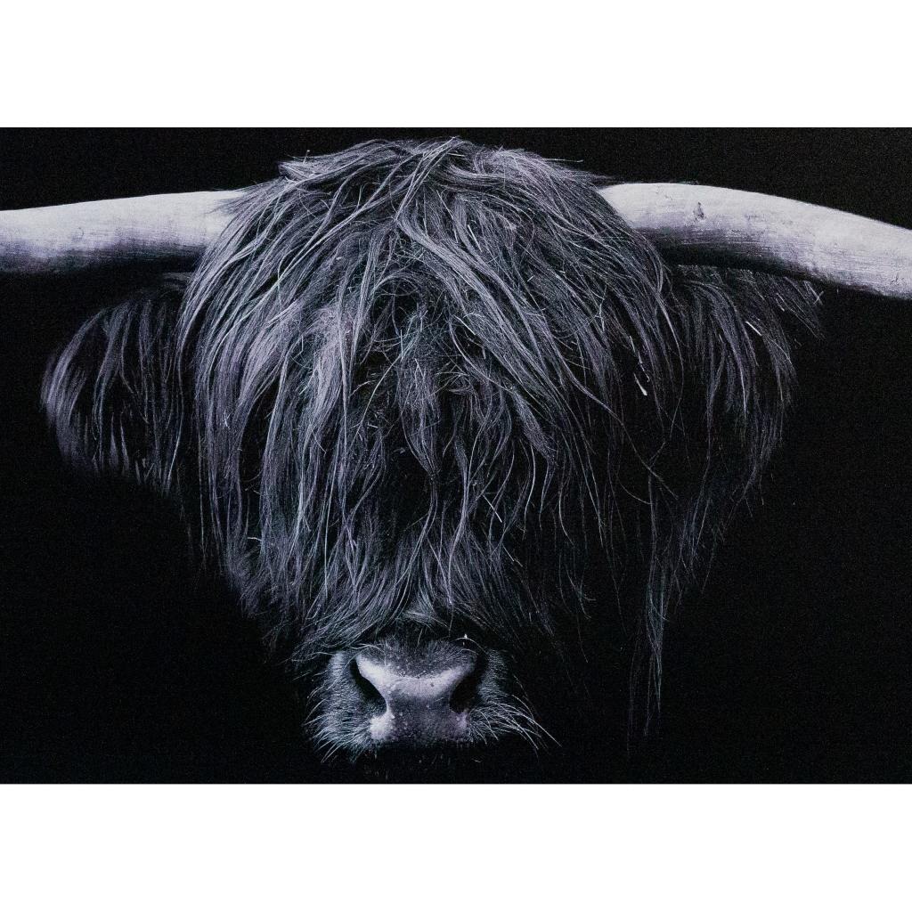 Framed Wall Art - Highland cow 120cm x 80cm