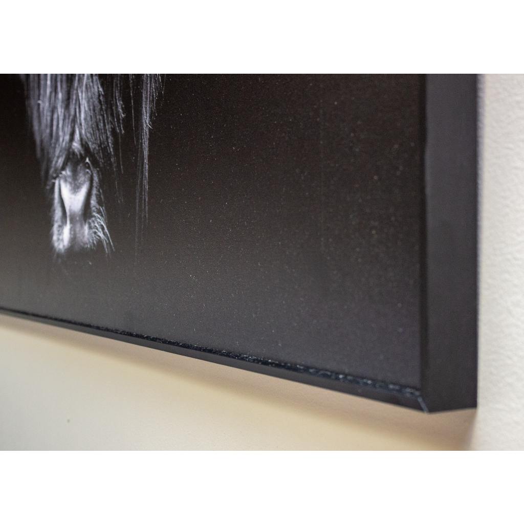 Framed Wall Art - Highland cow 120cm x 80cm