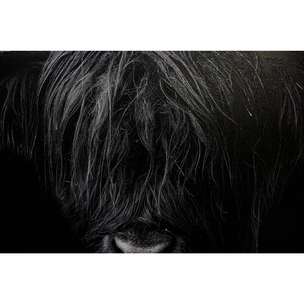 Framed Wall Art - Highland cow 120cm x 80cm