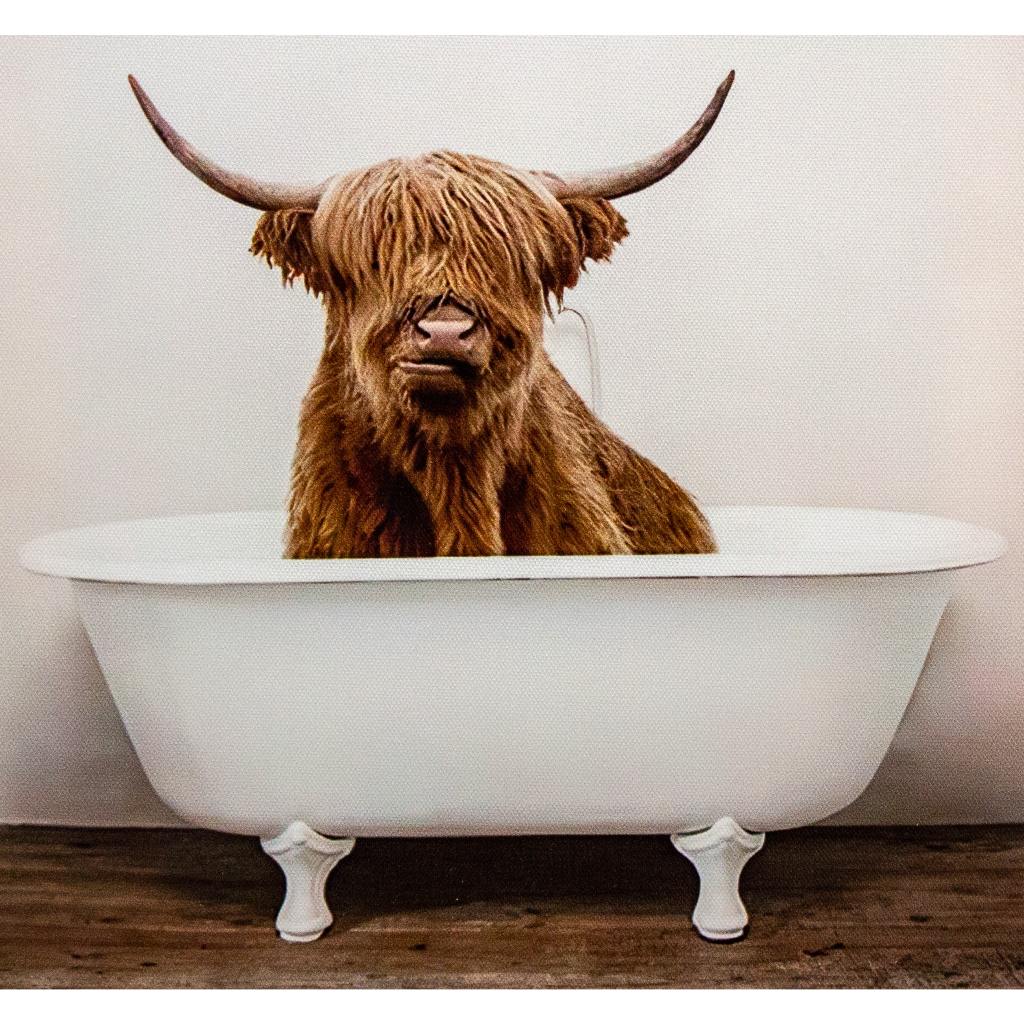 Framed Bath Time Highland Cow 30cm x 40cm
