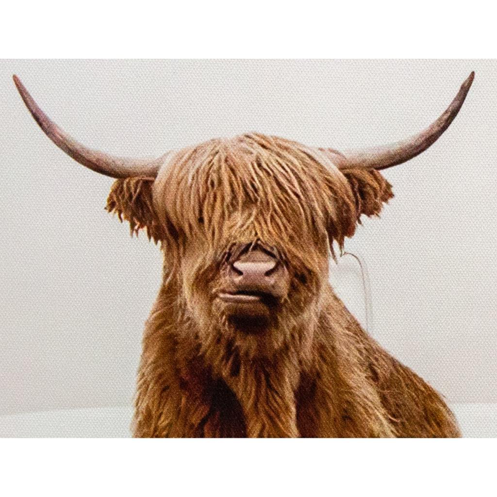 Framed Bath Time Highland Cow 30cm x 40cm