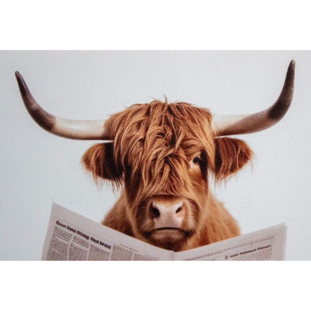 Framed Highland Cow Toilet 30cm x 30cm