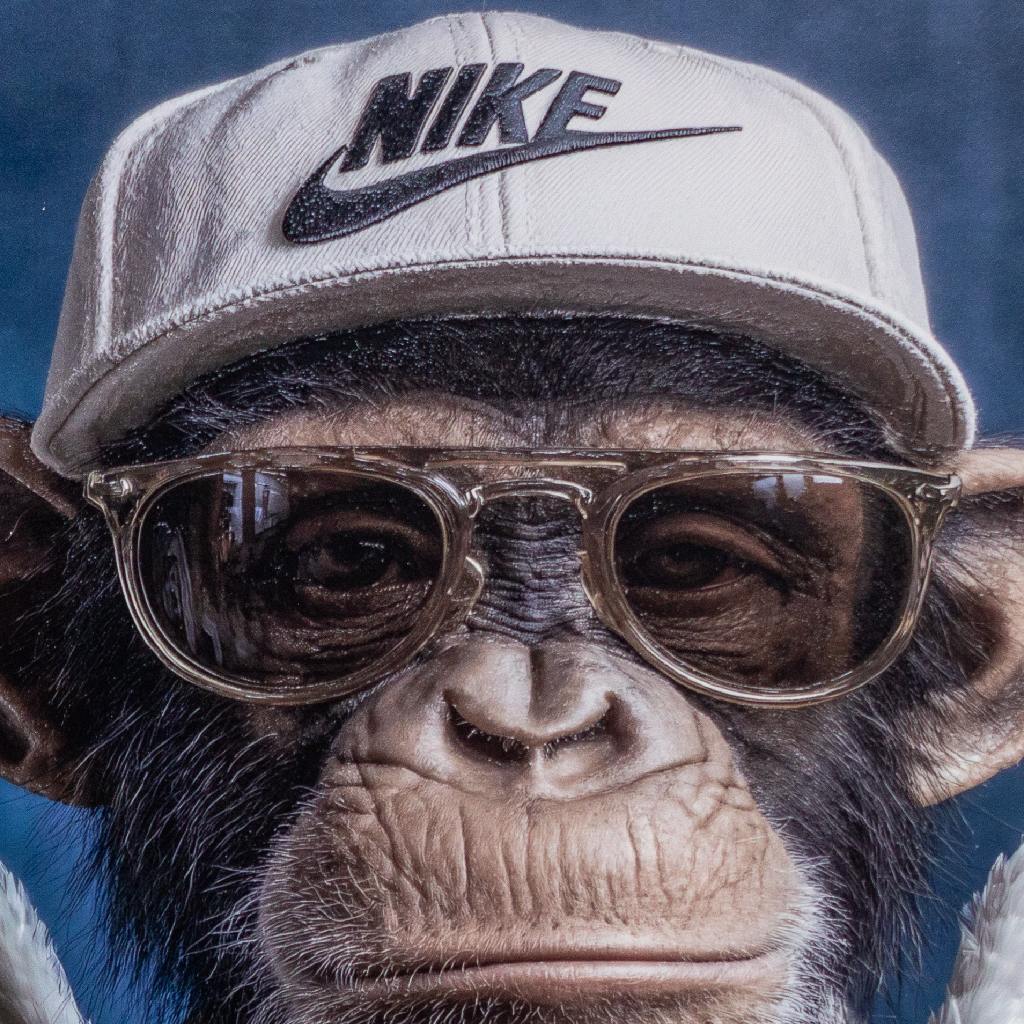 Framed Wall Art - The Nike Chimp 60cm x 80cm