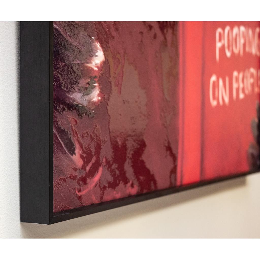 Framed Wall Art - Pigeon Pooping