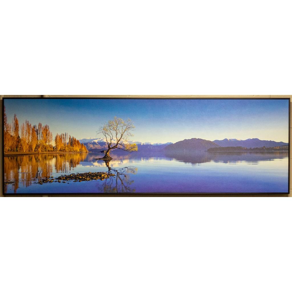 Framed Wall Art -Wanaka Tree 180cm x 60cm