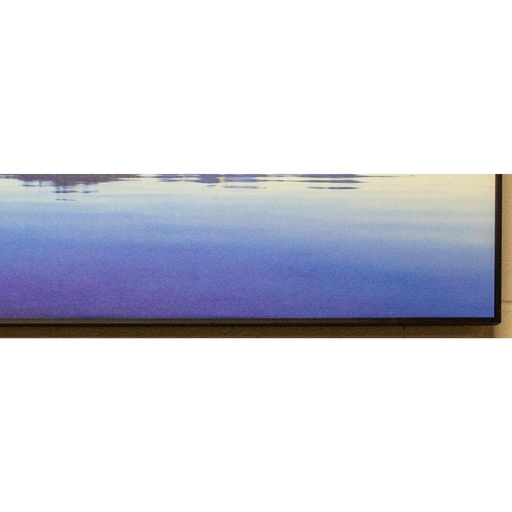 Framed Wall Art -Wanaka Tree 180cm x 60cm