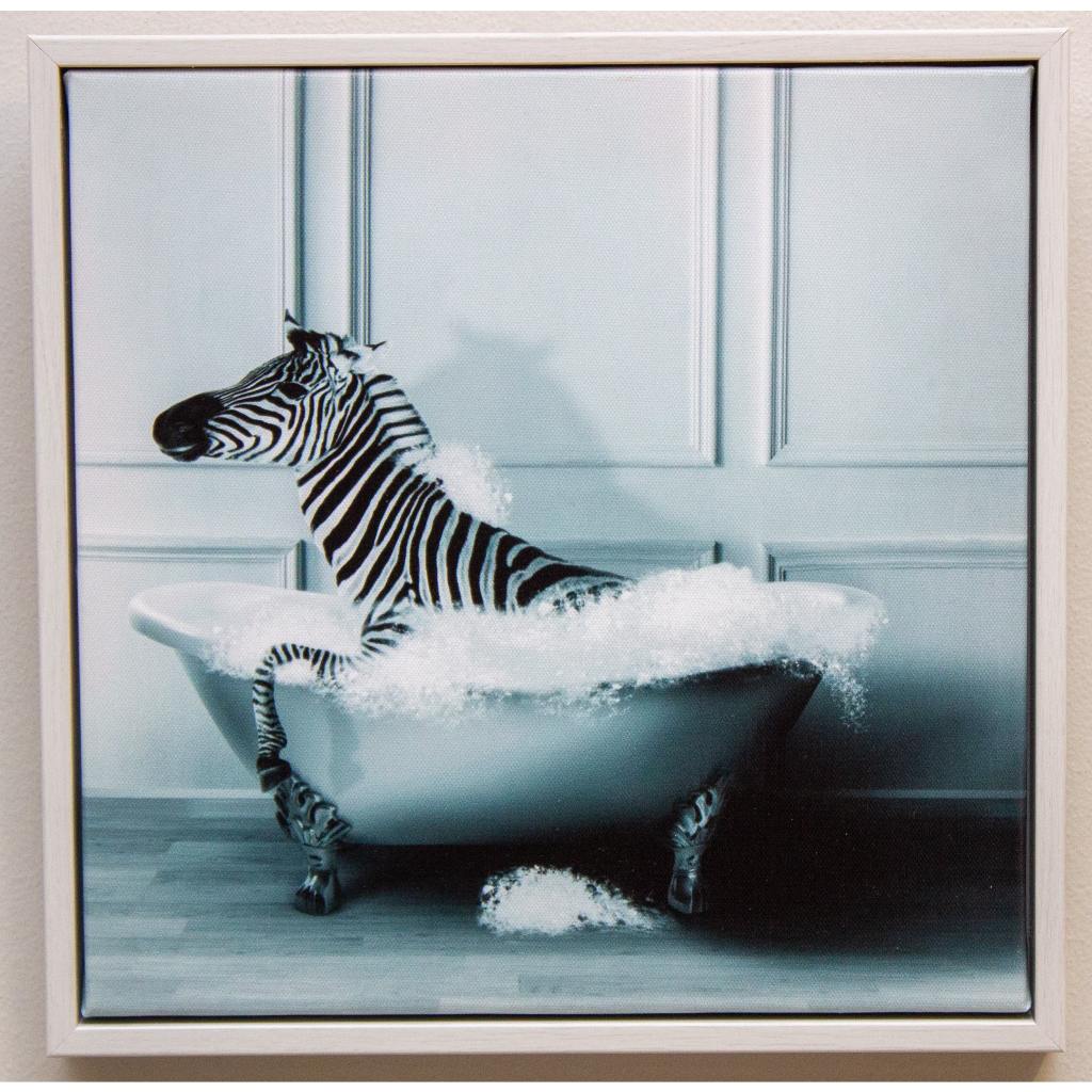 Framed Bath Time Zebra 30cm x 30cm