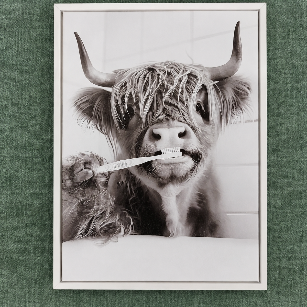 Framed Art - Highland Cow Teeth 30x40