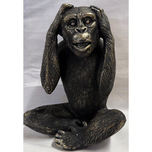 Monkey Hear NO Evil