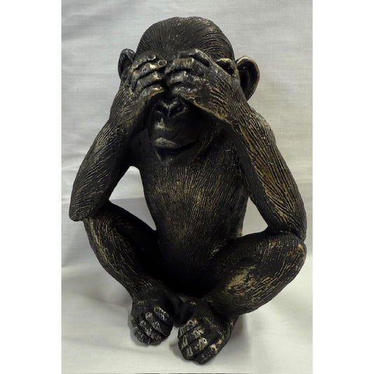 Monkey See No Evil
