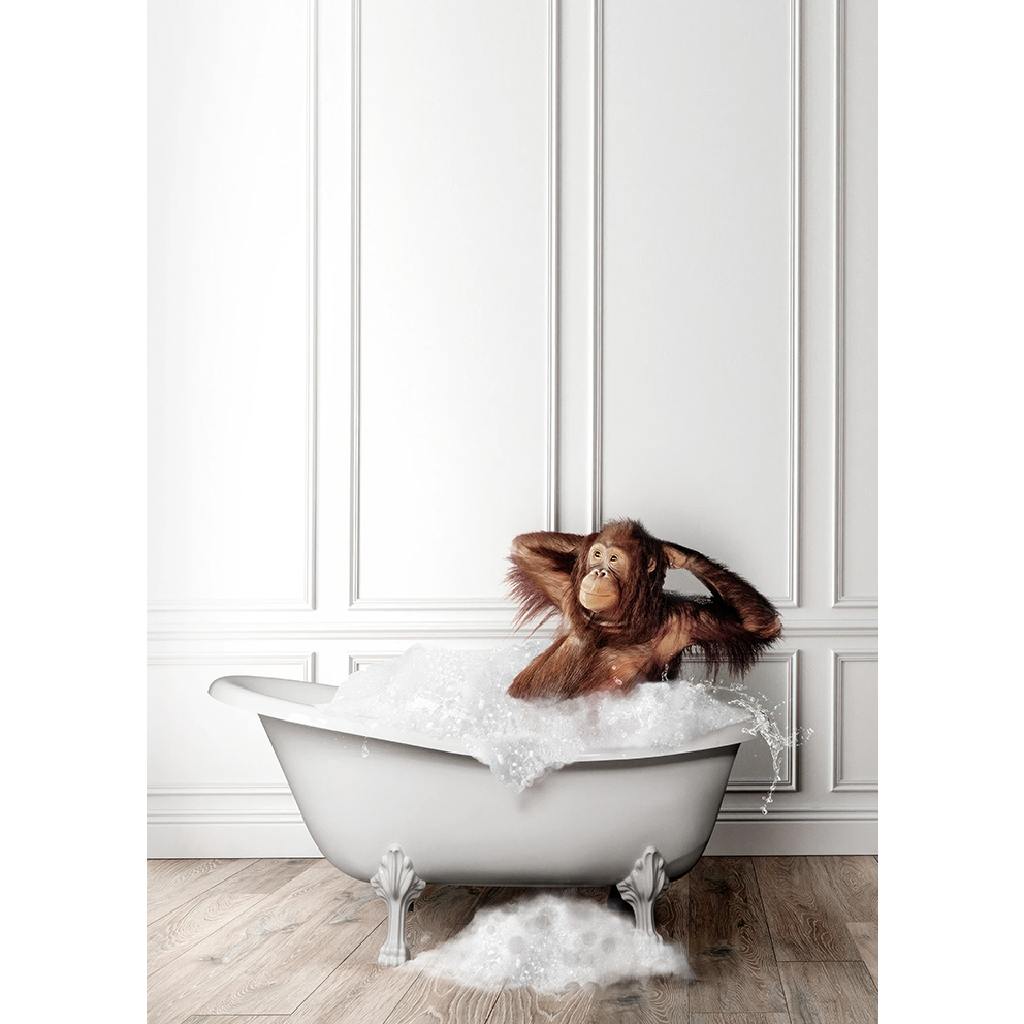 Framed Bath Time Orangutan 30cm x 30cm