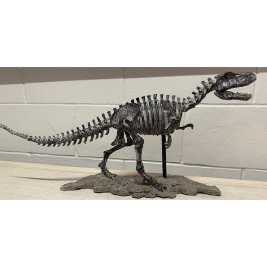 Dinosaur T Rex